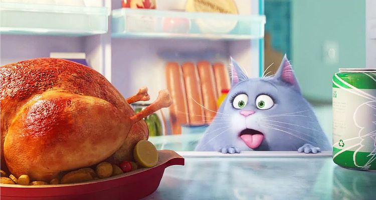 Funny THE SECRET LIFE OF PETS Character Videos