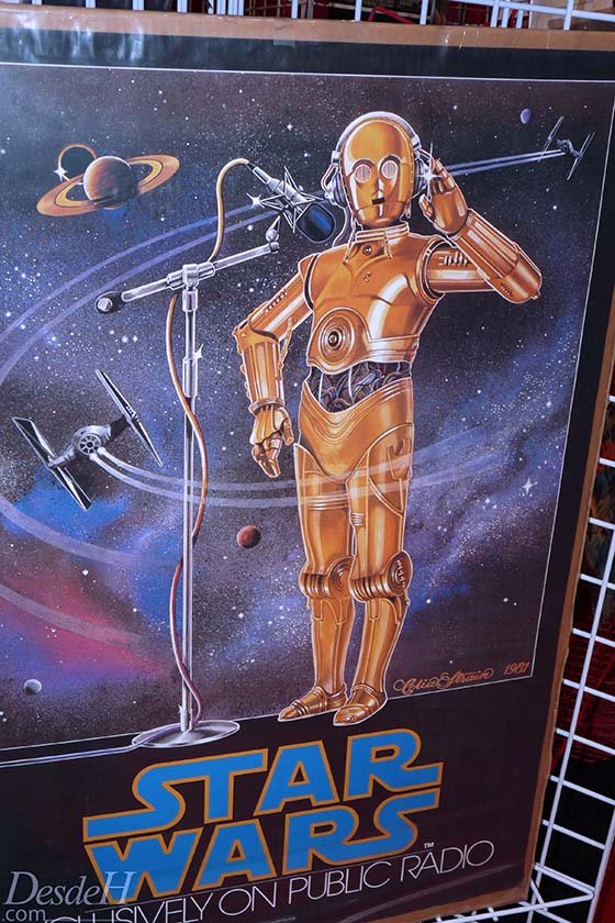 d23-expo-2013-desdehollywood (19)