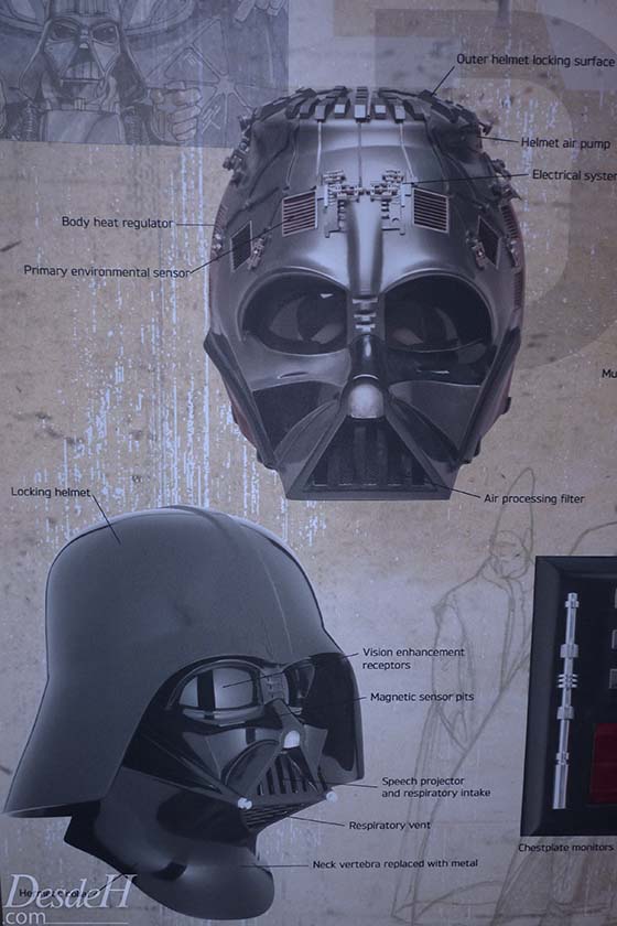 d23-expo-2013-desdehollywood (3)