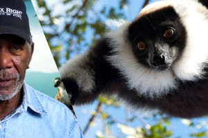 Madagascar-Island-of-Lemurs