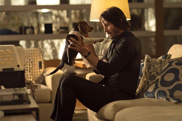 johnwick-film-review