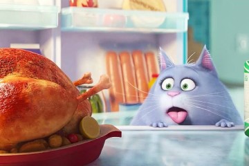 THE SECRET LIFE OF PETS