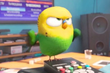 THE SECRET LIFE OF PETS