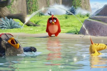 THE ANGRY BIRDS MOVIE