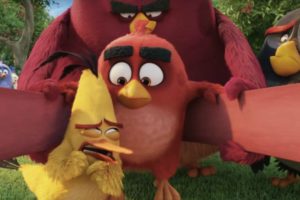 THE ANGRY BIRDS MOVIE