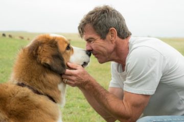 A DOG'S PURPOSE