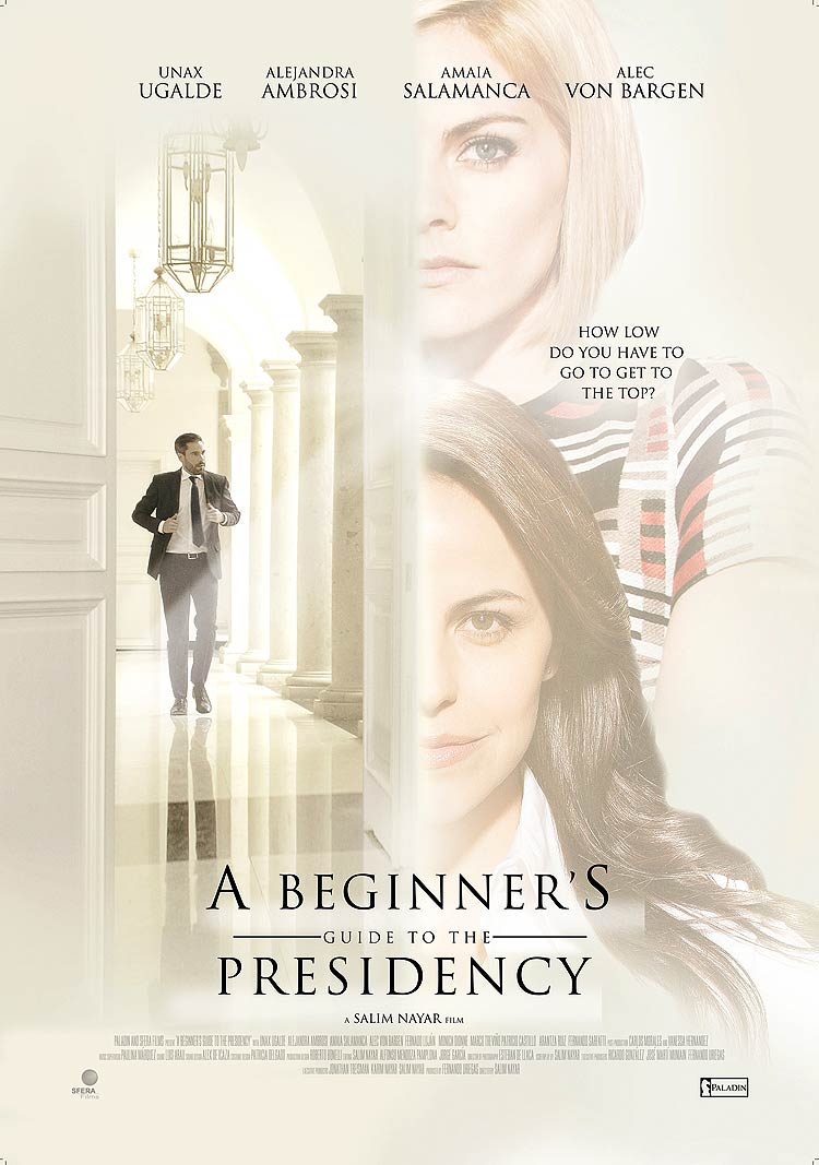 poster-beginersguidetodemocracy