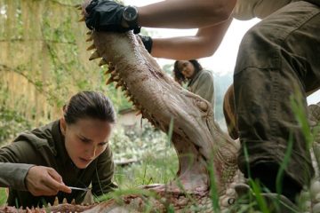 ANNIHILATION