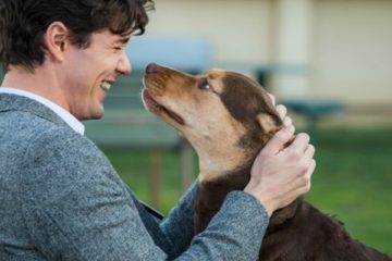 A DOG'S WAY HOME