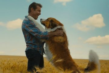 A DOG'S JOURNEY