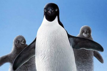 PENGUINS